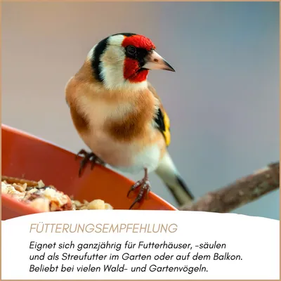 Supravit Waldvogelfutter mit Sonnenblumenkerne