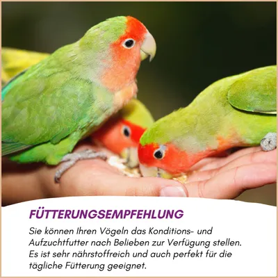 Optimax Konditions- und Aufzuchtfutter für Vögel