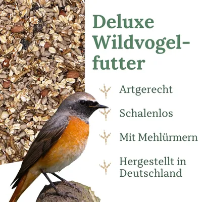 Orni Deluxe Streufutter mit Mehlwürmern für Wildvögel Orni Deluxe Streufutter mit Mehlwürmern für Wildvögel