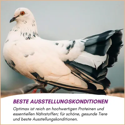 Optimax Konditions- und Aufzuchtfutter für Vögel Optimax Konditions- und Aufzuchtfutter für Vögel