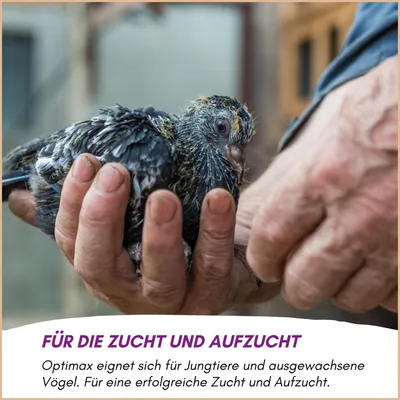 Optimax Konditions- und Aufzuchtfutter für Vögel Optimax Konditions- und Aufzuchtfutter für Vögel