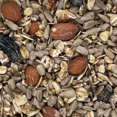 Orni Premium Streufutter Schalenlos für Wildvögel Orni Premium Streufutter Schalenlos für Wildvögel