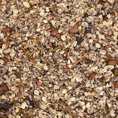Orni Deluxe Streufutter mit Mehlwürmern für Wildvögel Orni Deluxe Streufutter mit Mehlwürmern für Wildvögel