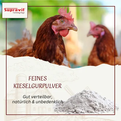 Supravit Kieselgur für Hühner 4 kg Supravit Kieselgur für Hühner 4 kg