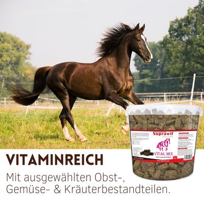 Supravit Vitalmix Pferdeleckerli - Ergänzungsfutter Pferd mit Vitamin E