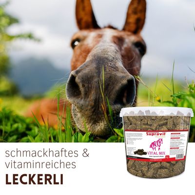 Supravit Vitalmix Pferdeleckerli - Ergänzungsfutter Pferd mit Vitamin E