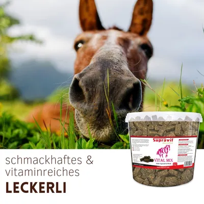 Supravit Vitalmix Pferdeleckerli - Ergänzungsfutter Pferd mit Vitamin E