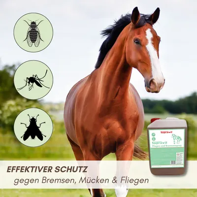 Supravit Bremsen und Fliegenspray für Pferde Supravit Bremsen und Fliegenspray für Pferde