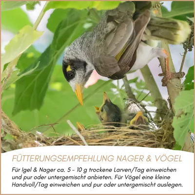 Supravit Soldatenfliegenlarven getrocknet