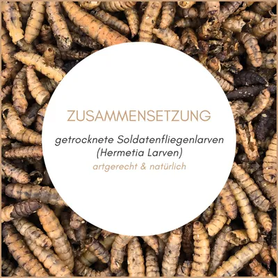 Supravit Soldatenfliegenlarven getrocknet