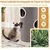 GIANTEX Tonneau Chat 3 Niveaux Perchoir Sisal Trous Ø36cm Arbre Intérieur GIANTEX Tonneau Chat 3 Niveaux Perchoir Sisal Trous Ø36cm Arbre Intérieur