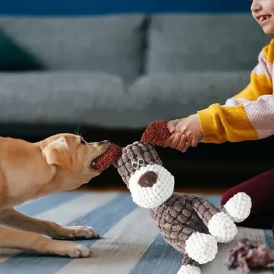 Jouet Chien en Peluche 2 en 1 Ouet Interactif pour Chiens avec Squeaker Jouet Chien en Peluche 2 en 1 Ouet Interactif pour Chiens avec Squeaker