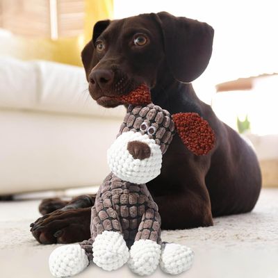 Jouet Chien en Peluche 2 en 1 Ouet Interactif pour Chiens avec Squeaker