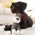 Jouet Chien en Peluche 2 en 1 Ouet Interactif pour Chiens avec Squeaker Jouet Chien en Peluche 2 en 1 Ouet Interactif pour Chiens avec Squeaker