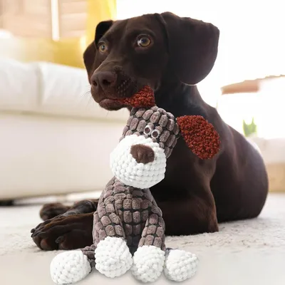 Jouet Chien en Peluche 2 en 1 Ouet Interactif pour Chiens avec Squeaker Jouet Chien en Peluche 2 en 1 Ouet Interactif pour Chiens avec Squeaker