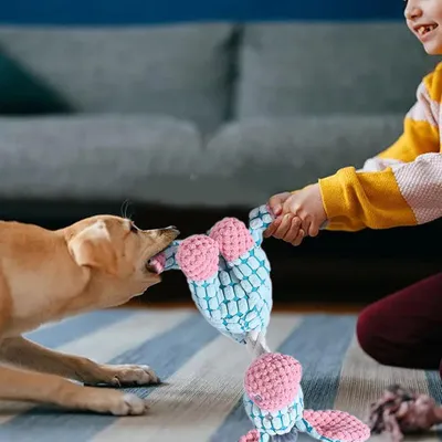 Jouet Chien en Peluche 2 en 1 Ouet Interactif pour Chiens avec Squeaker Jouet Chien en Peluche 2 en 1 Ouet Interactif pour Chiens avec Squeaker