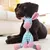Jouet Chien en Peluche 2 en 1 Ouet Interactif pour Chiens avec Squeaker Jouet Chien en Peluche 2 en 1 Ouet Interactif pour Chiens avec Squeaker