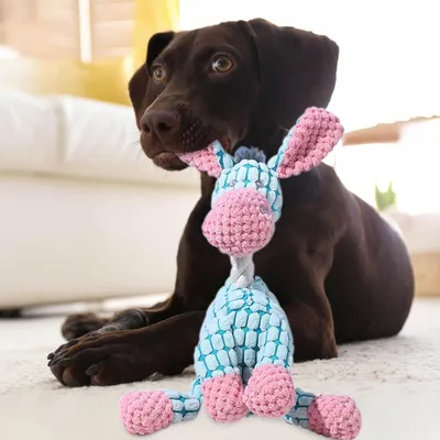 Jouet Chien en Peluche 2 en 1 Ouet Interactif pour Chiens avec Squeaker Jouet Chien en Peluche 2 en 1 Ouet Interactif pour Chiens avec Squeaker