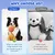 Jouet Chien en Peluche 2 en 1 Ouet Interactif pour Chiens avec Squeaker Jouet Chien en Peluche 2 en 1 Ouet Interactif pour Chiens avec Squeaker
