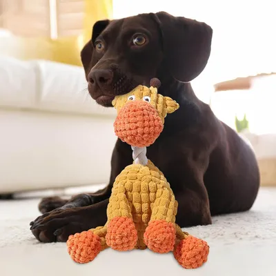 Jouet Chien en Peluche 2 en 1 Ouet Interactif pour Chiens avec Squeaker