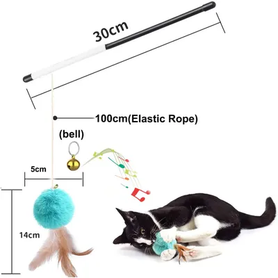 6 pièces Jouet Chat, Jouet pour Chat Plume Interieur, Chat Jeu pour Chaton 6 pièces Jouet Chat, Jouet pour Chat Plume Interieur, Chat Jeu pour Chaton