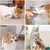 Bâtons d'herbe à Chat, 4pcs Bâtons à Mâcher pour Chats, Jouet Cataire Bâtons d'herbe à Chat, 4pcs Bâtons à Mâcher pour Chats, Jouet Cataire