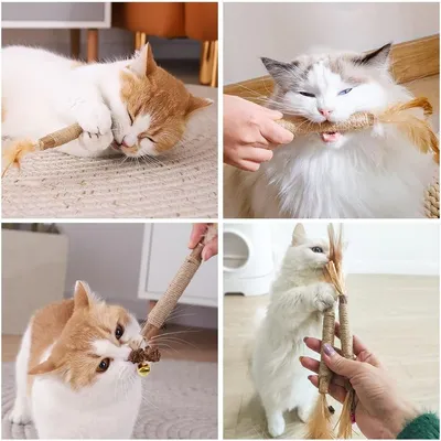 Bâtons d'herbe à Chat, 4pcs Bâtons à Mâcher pour Chats, Jouet Cataire Bâtons d'herbe à Chat, 4pcs Bâtons à Mâcher pour Chats, Jouet Cataire