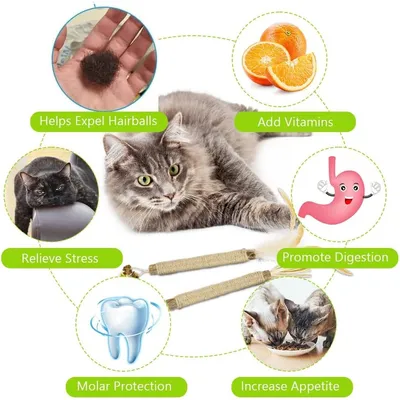 Bâtons d'herbe à Chat, 4pcs Bâtons à Mâcher pour Chats, Jouet Cataire Bâtons d'herbe à Chat, 4pcs Bâtons à Mâcher pour Chats, Jouet Cataire