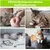Bâtons d'herbe à Chat, 4pcs Bâtons à Mâcher pour Chats, Jouet Cataire Bâtons d'herbe à Chat, 4pcs Bâtons à Mâcher pour Chats, Jouet Cataire