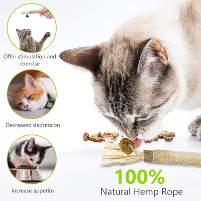 Bâtons d'herbe à Chat, 4pcs Bâtons à Mâcher pour Chats, Jouet Cataire Bâtons d'herbe à Chat, 4pcs Bâtons à Mâcher pour Chats, Jouet Cataire