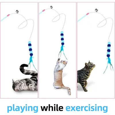 Jouet interactif pour entraînement de chat Jouet interactif pour entraînement de chat
