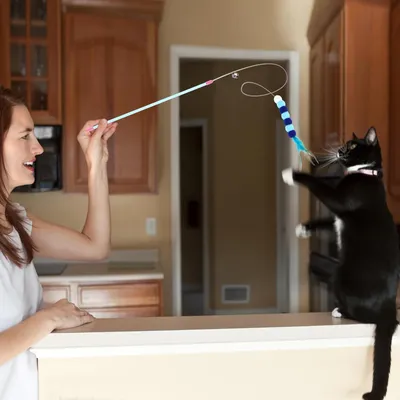 Jouet interactif pour entraînement de chat Jouet interactif pour entraînement de chat