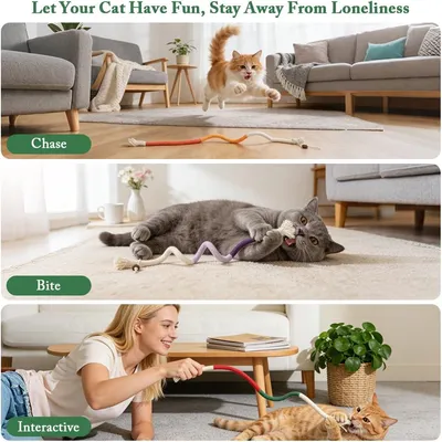 Bâtonnets Herbe à Chat, 13 Pièces Jouet Chats Bâton à Mâcher Bâtonnets Herbe à Chat, 13 Pièces Jouet Chats Bâton à Mâcher