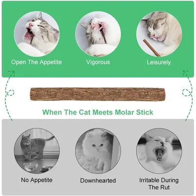 Bâtonnets Herbe à Chat, 13 Pièces Jouet Chats Bâton à Mâcher Bâtonnets Herbe à Chat, 13 Pièces Jouet Chats Bâton à Mâcher