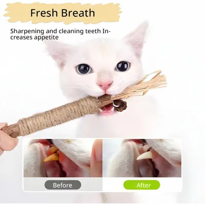 Lot de 6 jouets à chat, 3 bâtonnets d'herbe, 3 bâtonnets en bois à mâcher Lot de 6 jouets à chat, 3 bâtonnets d'herbe, 3 bâtonnets en bois à mâcher