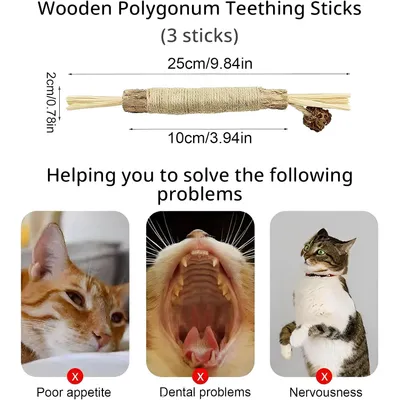 Lot de 6 jouets à chat, 3 bâtonnets d'herbe, 3 bâtonnets en bois à mâcher Lot de 6 jouets à chat, 3 bâtonnets d'herbe, 3 bâtonnets en bois à mâcher