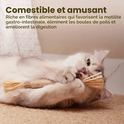 Lot de 3 bâtonnets à mâcher pour chat - En bois à mâcher Lot de 3 bâtonnets à mâcher pour chat - En bois à mâcher