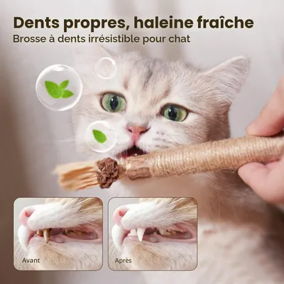 Lot de 3 bâtonnets à mâcher pour chat - En bois à mâcher Lot de 3 bâtonnets à mâcher pour chat - En bois à mâcher