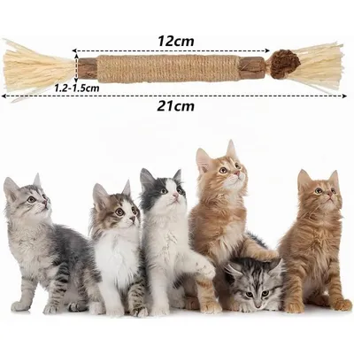 Lot de 3 bâtonnets à mâcher pour chat - En bois à mâcher Lot de 3 bâtonnets à mâcher pour chat - En bois à mâcher