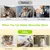 Bâtonnets Herbe à Chat, 6 Pièces Jouet Chats Bâton à Mâcher Bâtonnets Herbe à Chat, 6 Pièces Jouet Chats Bâton à Mâcher