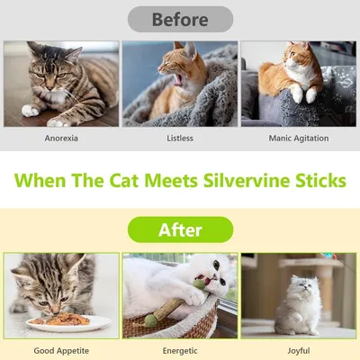 Bâtonnets Herbe à Chat, 6 Pièces Jouet Chats Bâton à Mâcher Bâtonnets Herbe à Chat, 6 Pièces Jouet Chats Bâton à Mâcher