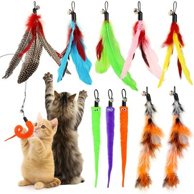 10 Pièces Jouets Baguette Chat, Accessoires de Rechange