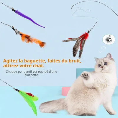 10 Pièces Jouets Baguette Chat, Accessoires de Rechange 10 Pièces Jouets Baguette Chat, Accessoires de Rechange