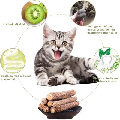Lot de 30 Bâtons Molaires pour Chat, Jouets à Herbe