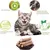 Lot de 30 Bâtons Molaires pour Chat, Jouets à Herbe