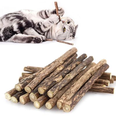 Lot de 30 Bâtons Molaires pour Chat, Jouets à Herbe