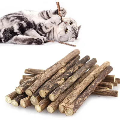 Lot de 30 Bâtons Molaires pour Chat, Jouets à Herbe