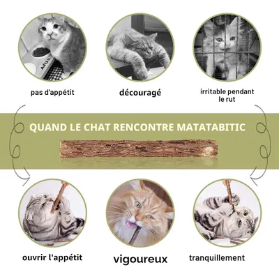 Lot de 30 Bâtons Molaires pour Chat, Jouets à Herbe