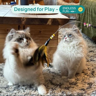 6 pièces Jouet Chat, Jouet pour Chat Plume Interieur, Chat Jeu pour Chaton