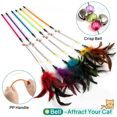 6 pièces Jouet Chat, Jouet pour Chat Plume Interieur, Chat Jeu pour Chaton 6 pièces Jouet Chat, Jouet pour Chat Plume Interieur, Chat Jeu pour Chaton